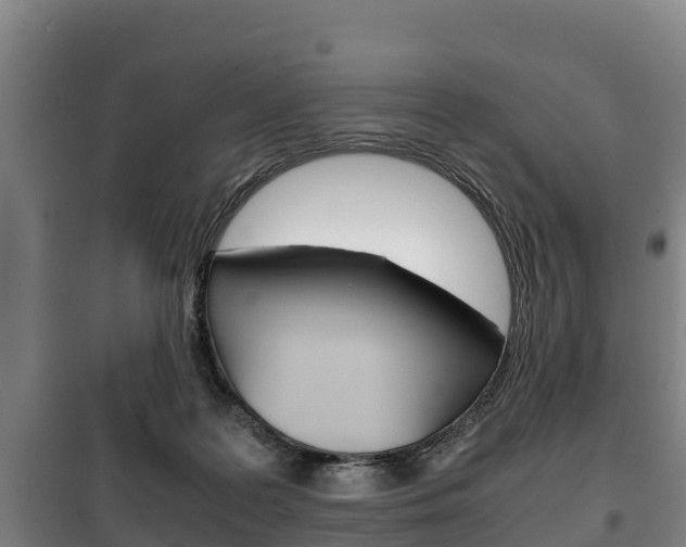X0000100420219200806060956