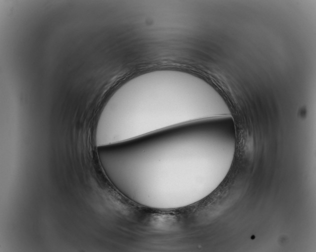 X0000100420220200806060956