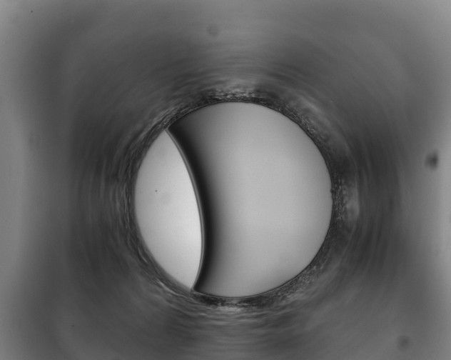 X0000100420224200806060955