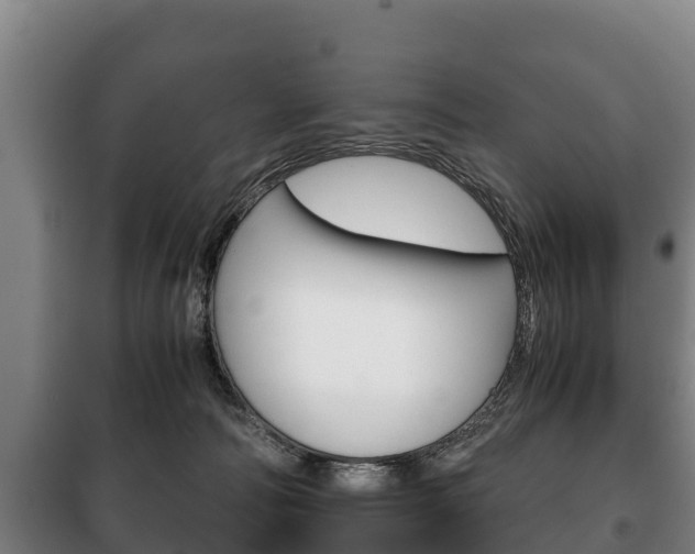 X0000100420226200806060955