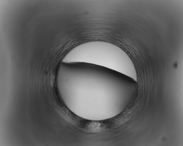 X0000100420227200806060955