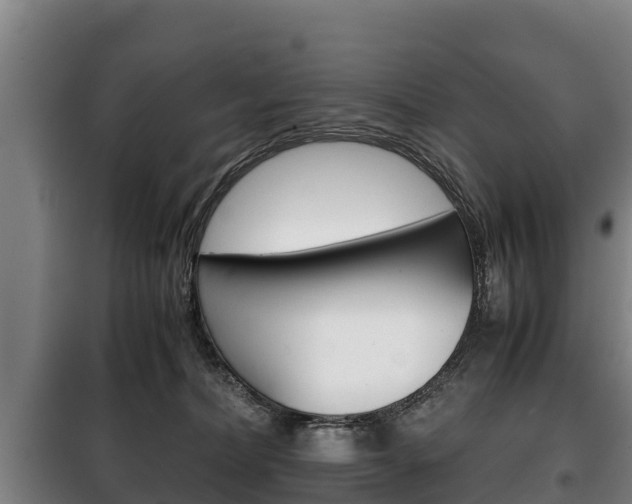 X0000100420228200806060955