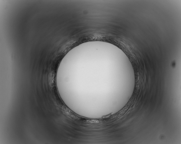 X0000100420230200806060955
