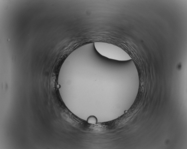 X0000100420231200806060955