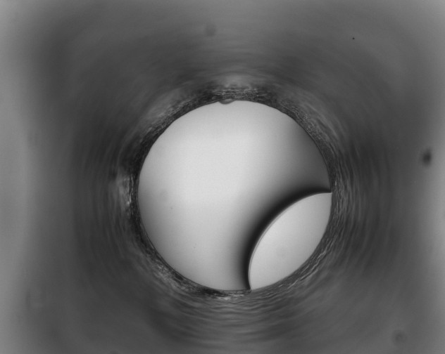 X0000100420232200806060955