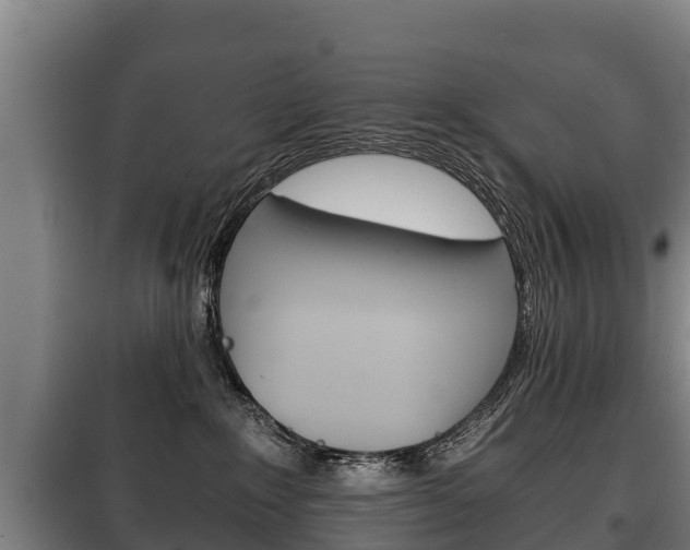 X0000100420235200806060955