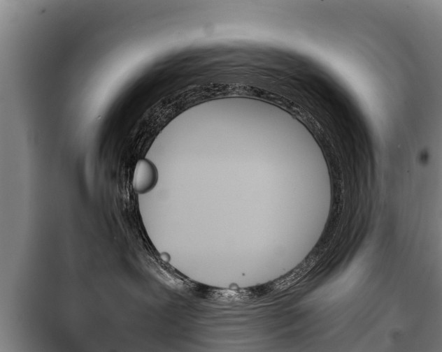 X0000100420239200806060955