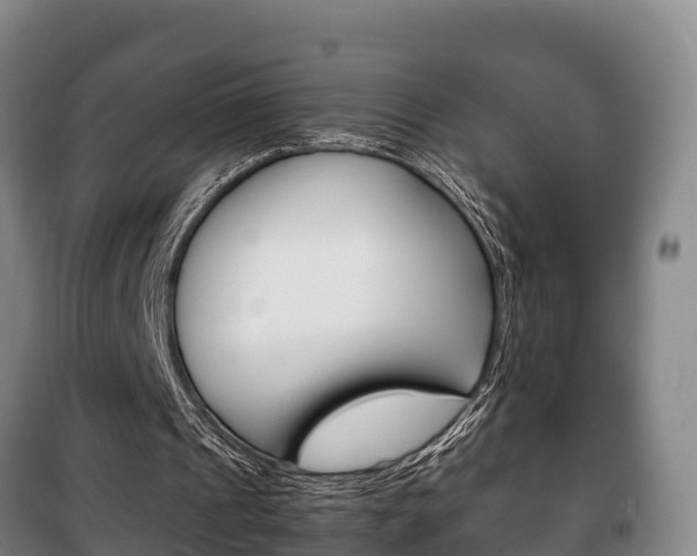 X0000100420241200806060954