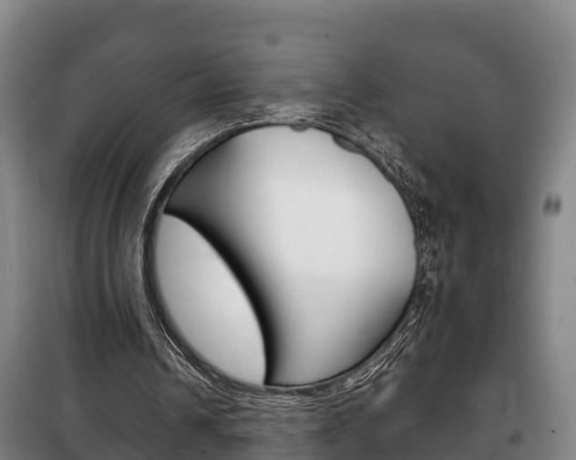 X0000100420242200806060954