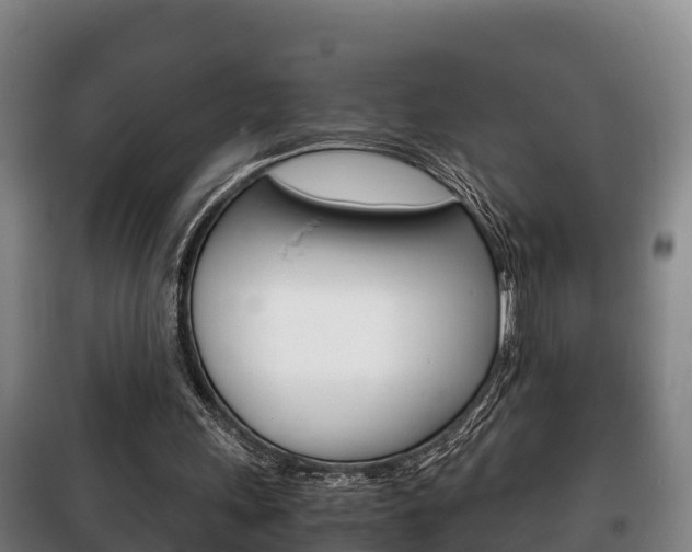 X0000100420243200806060954