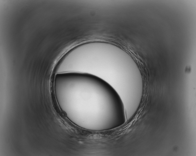 X0000100420244200806060954