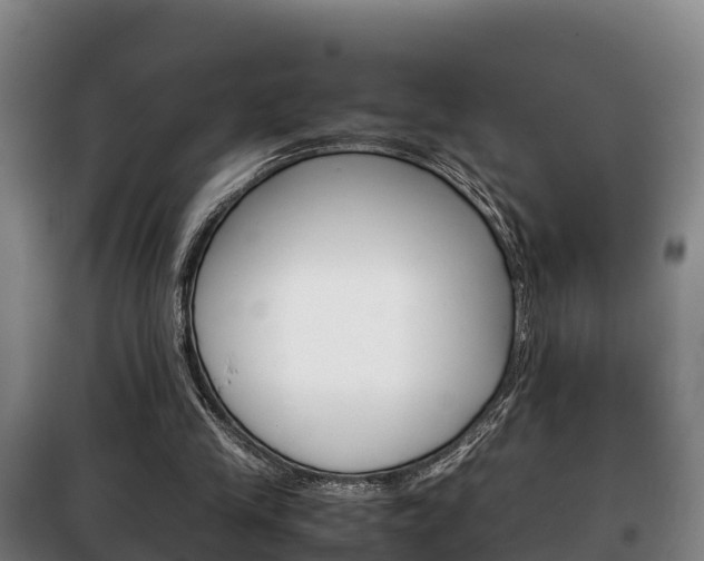 X0000100420245200806060954