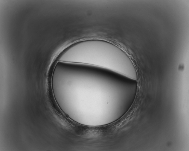 X0000100420248200806060954