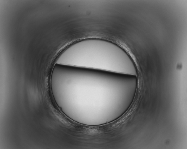 X0000100420249200806060954