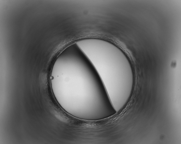 X0000100420250200806060955