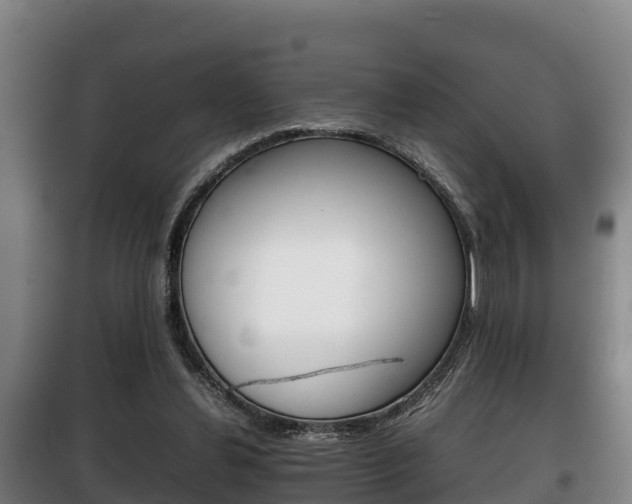 X0000100420252200806060955