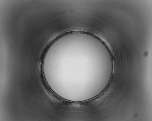 X0000100420253200806060955