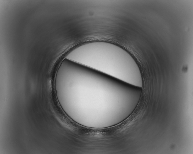 X0000100420254200806060955