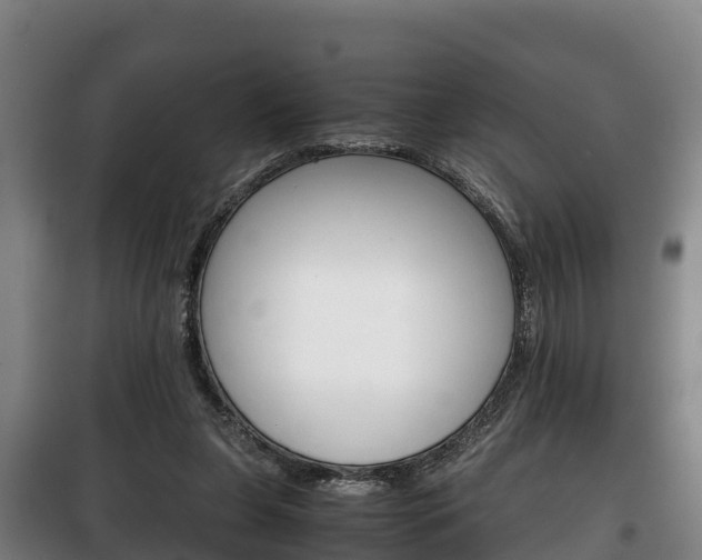 X0000100420255200806060955