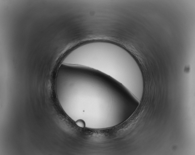 X0000100420256200806060955