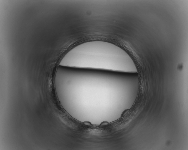 X0000100420259200806060955