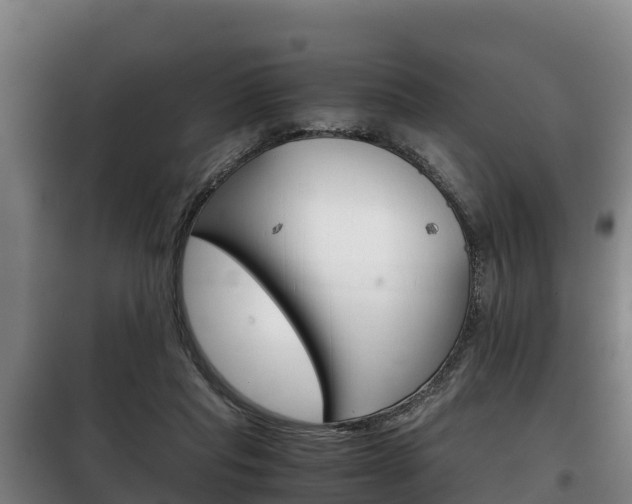 X0000100420261200806060955