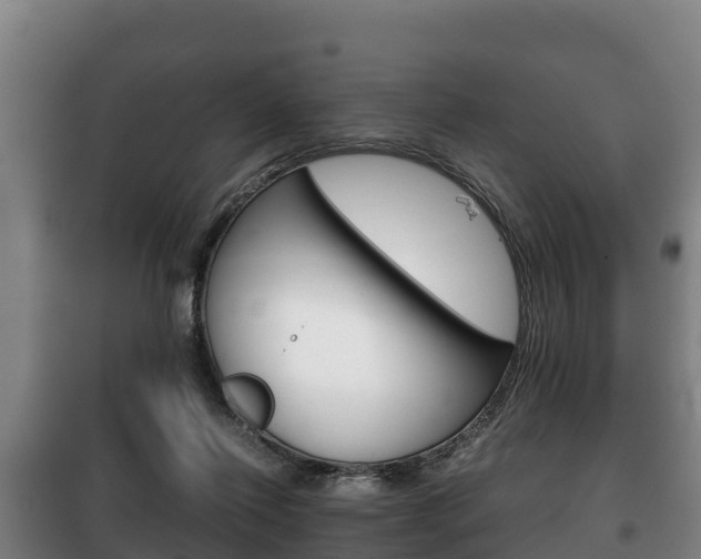X0000100420262200806060955