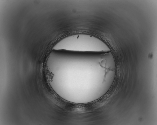 X0000100420263200806060955