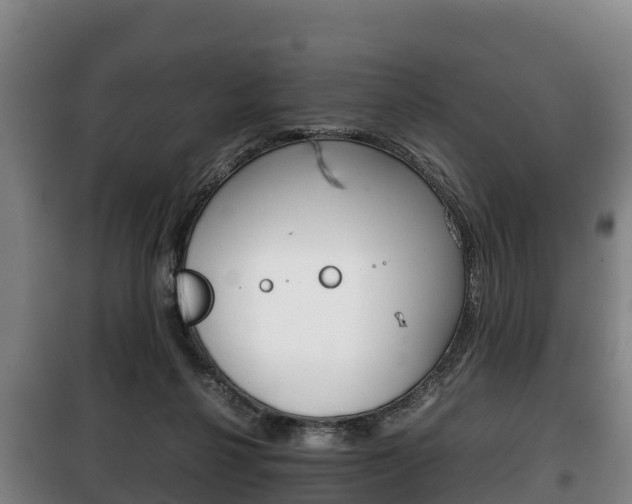X0000100420264200806060955