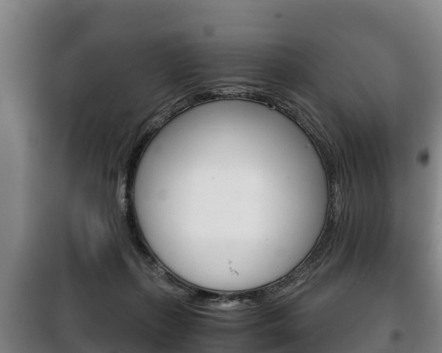 X0000100420267200806060955