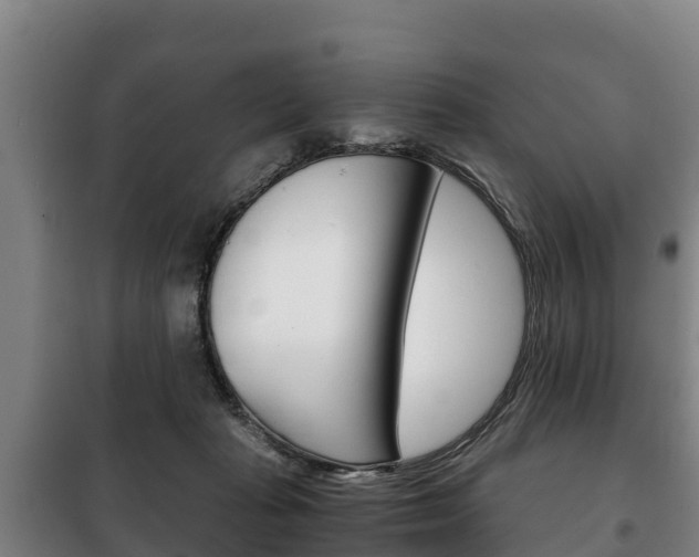 X0000100420269200806060955