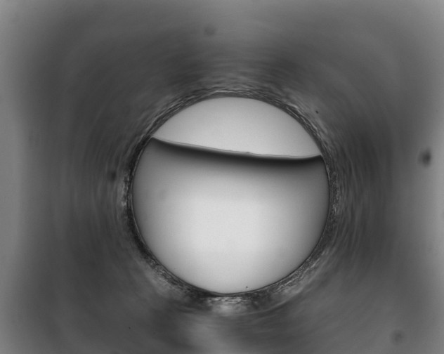 X0000100420273200806060955