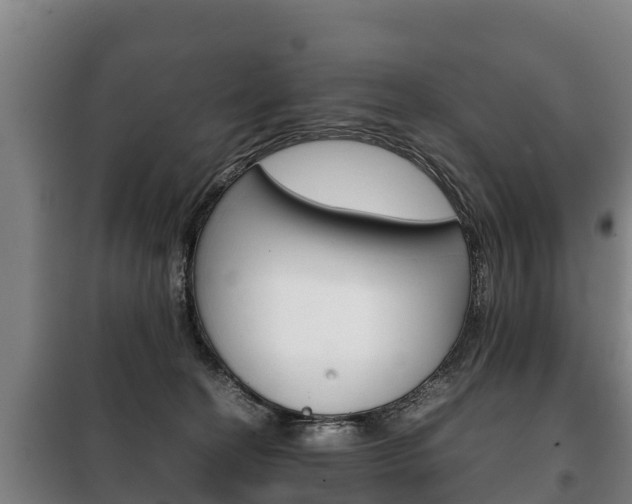 X0000100420274200806060955