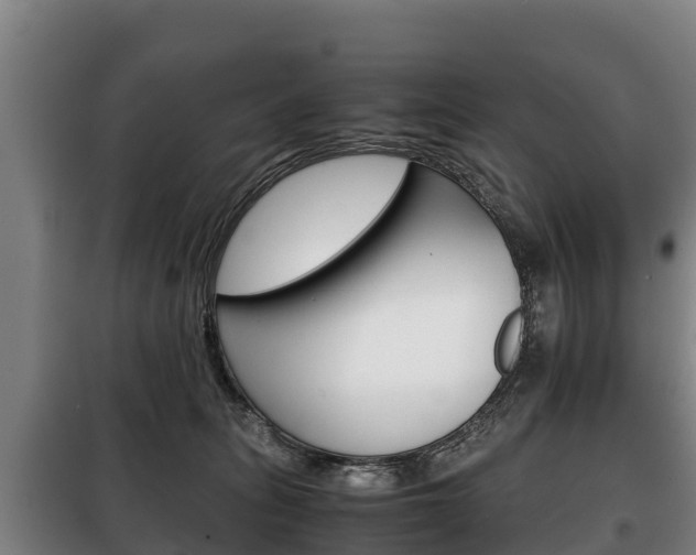 X0000100420275200806060955