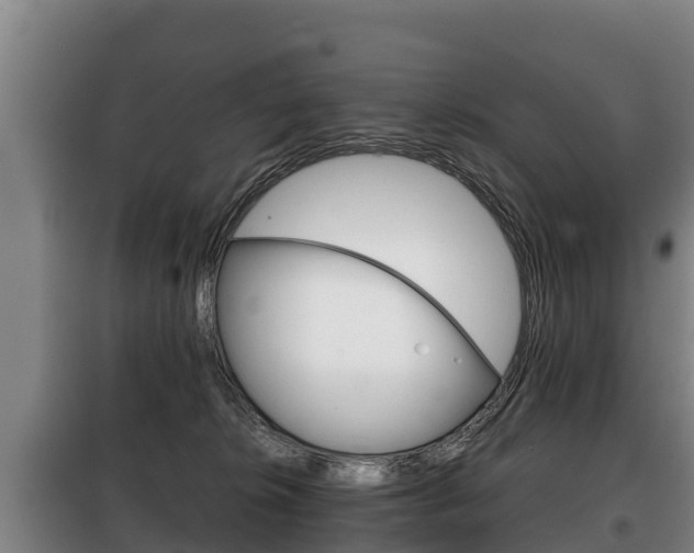 X0000100420276200806060955