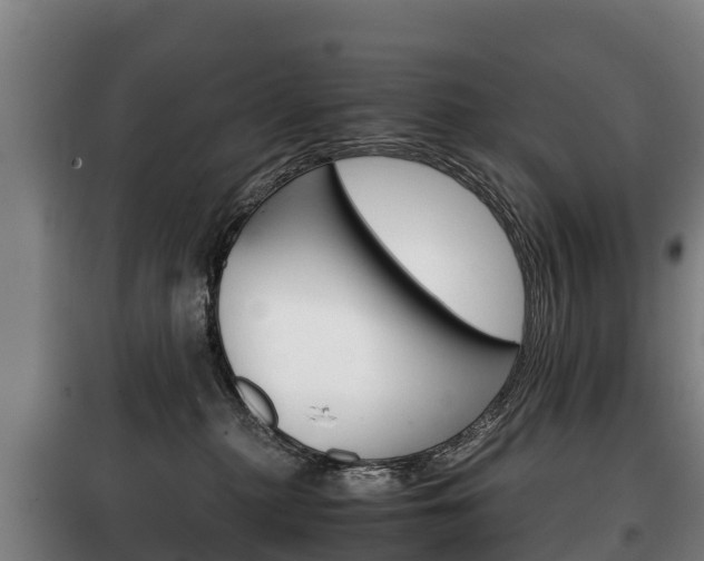 X0000100420279200806060955