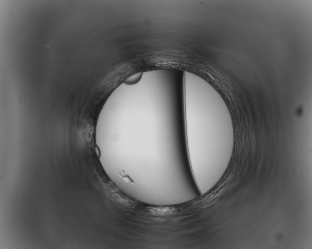 X0000100420281200806060955