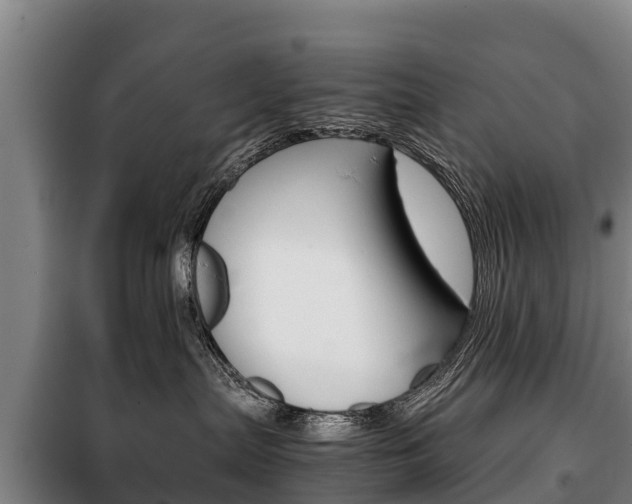 X0000100420287200806060955