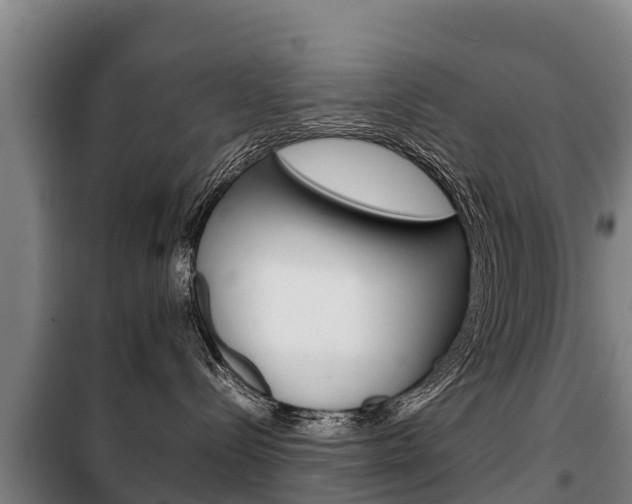 X0000100420288200806060955