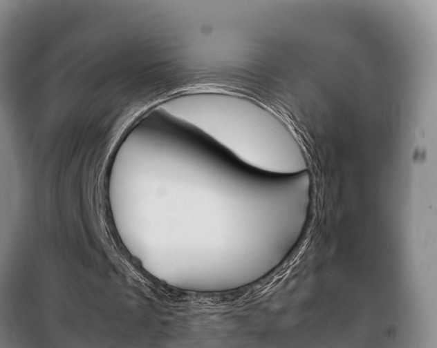 X0000100420289200806060954