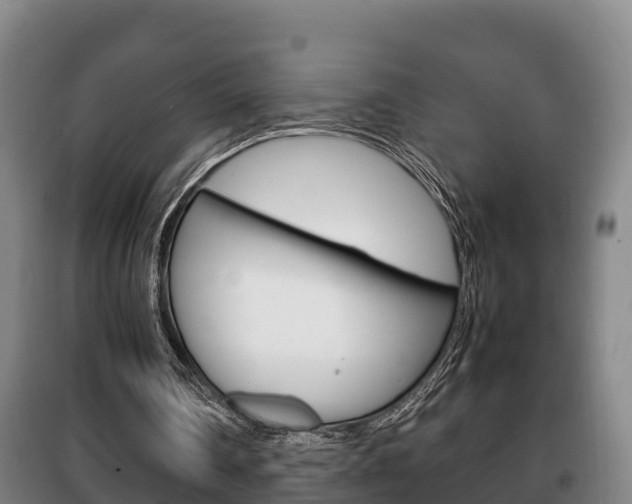 X0000100420290200806060954