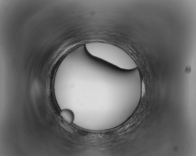 X0000100420291200806060954