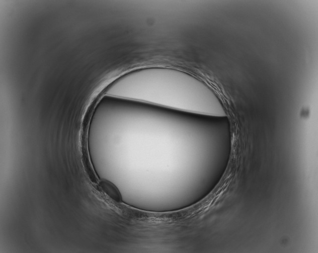 X0000100420292200806060954
