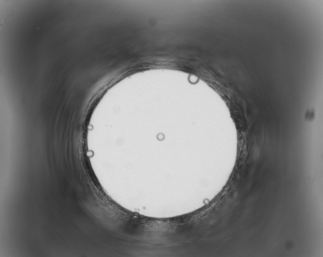 X0000100420293200806060954