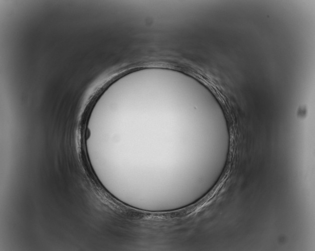 X0000100420294200806060954