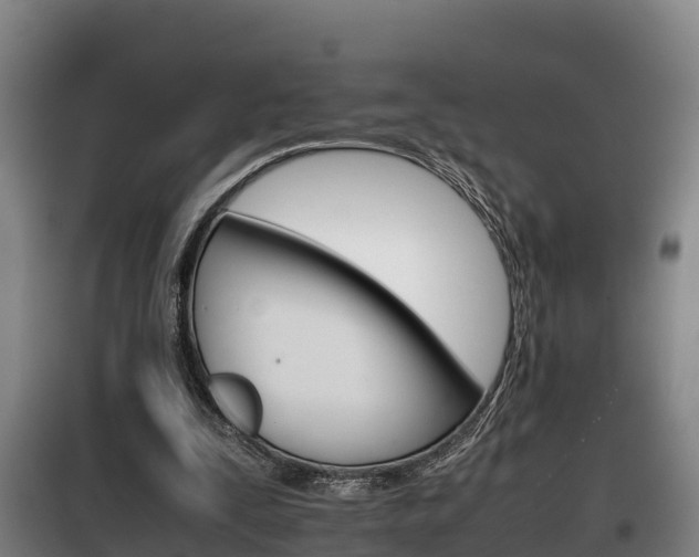 X0000100420295200806060954