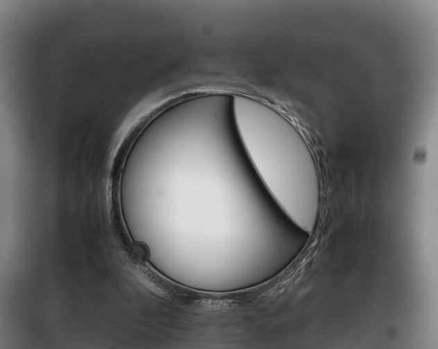 X0000100420296200806060954