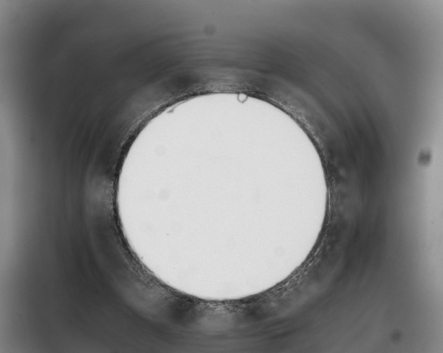 X0000100420297200806060954