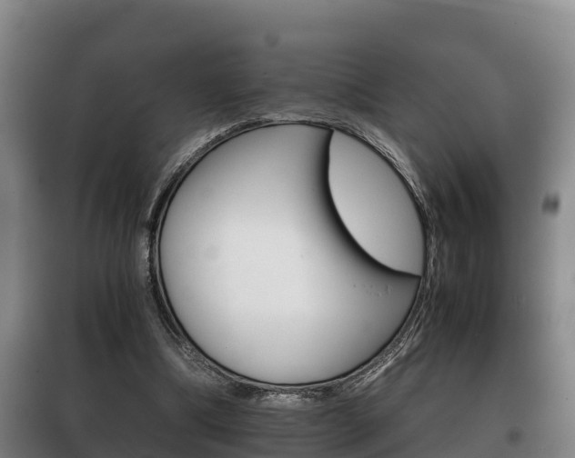 X0000100420298200806060954