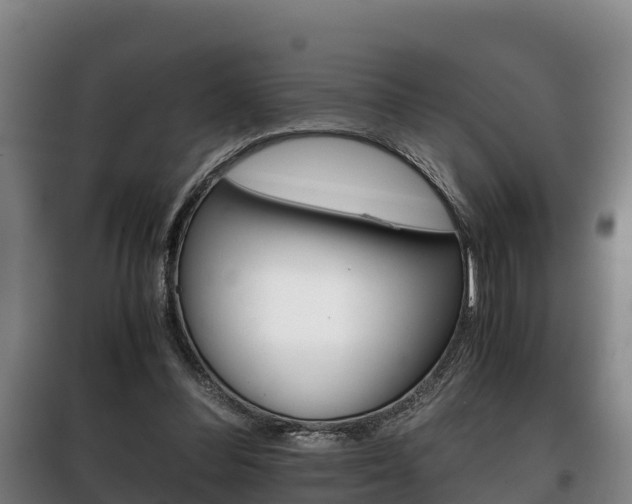 X0000100420300200806060954